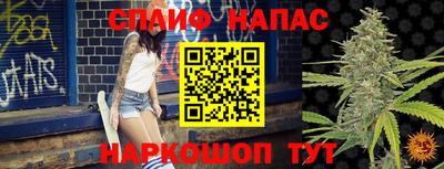 прущие крисы Пенза